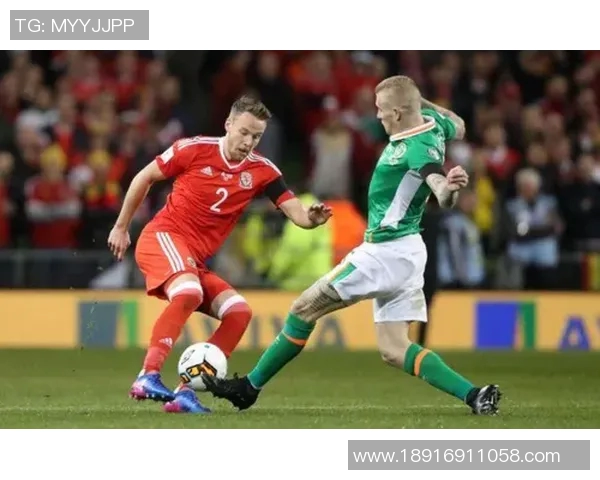 中国与威尔士足球对决足彩分析及投注建议分享